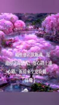 喜欢和合适到底哪个更重要?-专业问答交流平台
